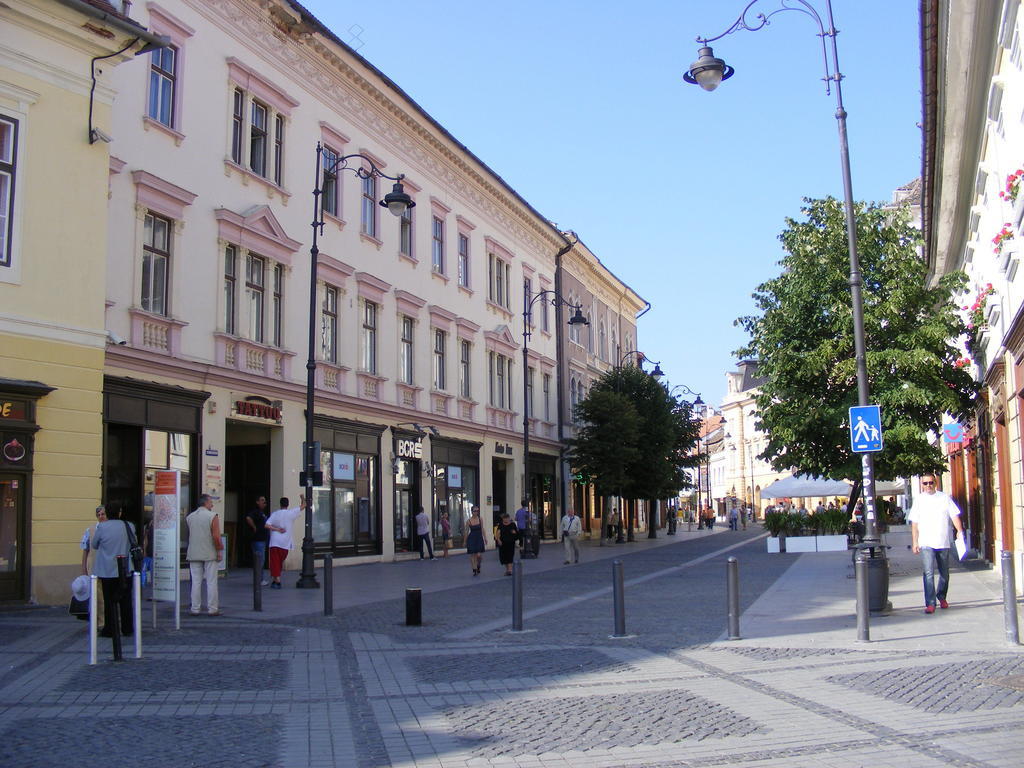 Garsoniera Central Sibiu Oda fotoğraf